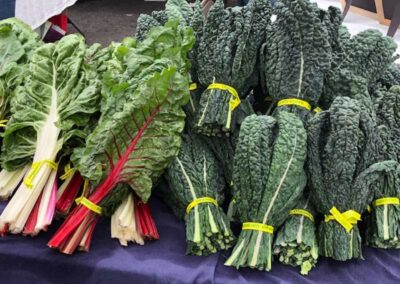 Food As Medicine – Kale & Chard