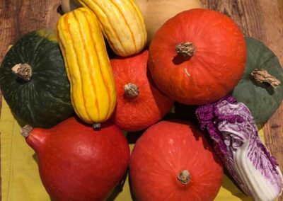 Food As Medicine – Winter Squash