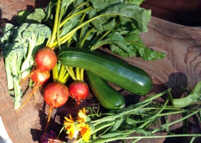 Food As Medicine – Veggies & Flowers in Wooden Bowl