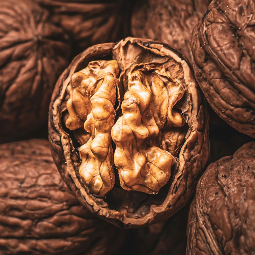 Gut-Brain Connection image – walnut